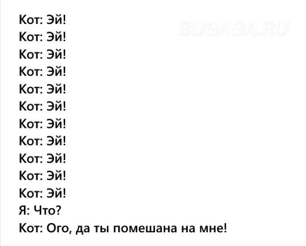 Прикольные КОТОмемы (16 фото)