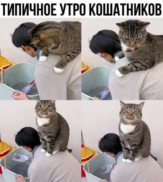 Прикольные мемы: «Когда в групповом чате был какой-то замес, пока ты спал» (20 фото)