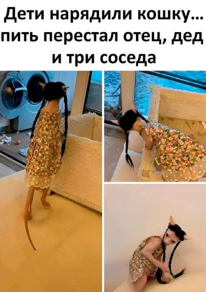Пятничные фотоприколы: «Когда солнышко греет…» (38 шт)
