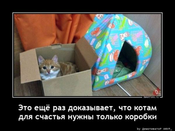 Демотиваторов пост: «Игрушками не играть» (16 шт)