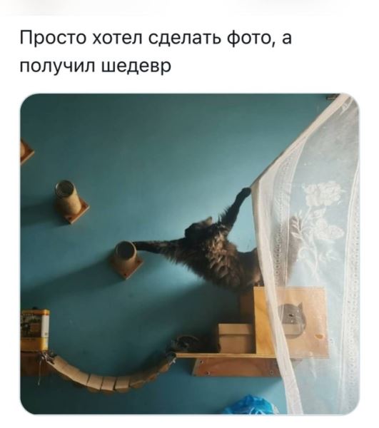 Прикольные картинки дня: «Когда тебе никто не верил…» (26 шт)