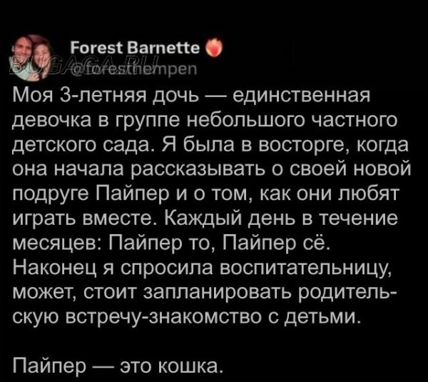 Прикольные КОТОмемы (16 фото)
