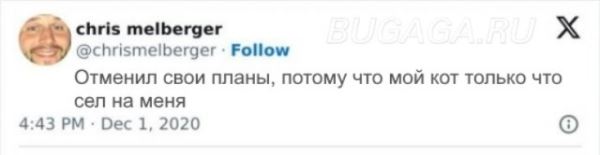 Прикольные КОТОмемы (16 фото)