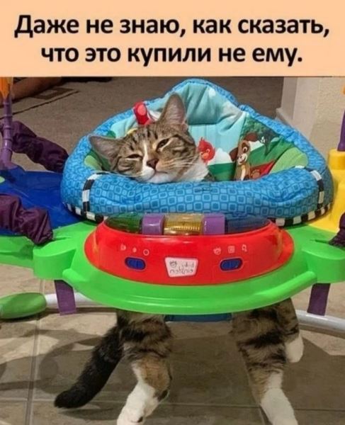 Предпраздничные фотоприколы: «На какой позиции в нашей компании…» (38 шт)