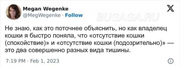 Прикольные КОТОмемы (16 фото)