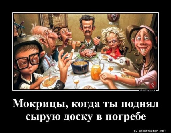 Демотиваторов пост: «Игрушками не играть» (16 шт)