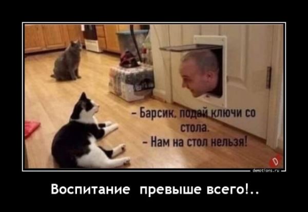 Демотиваторов пост: «Воспитание превыше всего!» (20 фото)