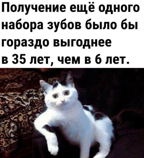 Прикольные картинки для всех: «Я каждый раз, когда…» (27 фото)