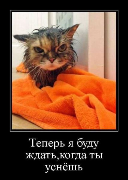 Демотиваторы для всех: «Идеальный кондуктор…» (16 фото)
