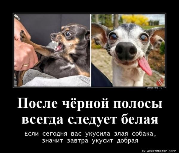 Прикольные демотиваторы: «Бери от жизни всё!» (14 шт)