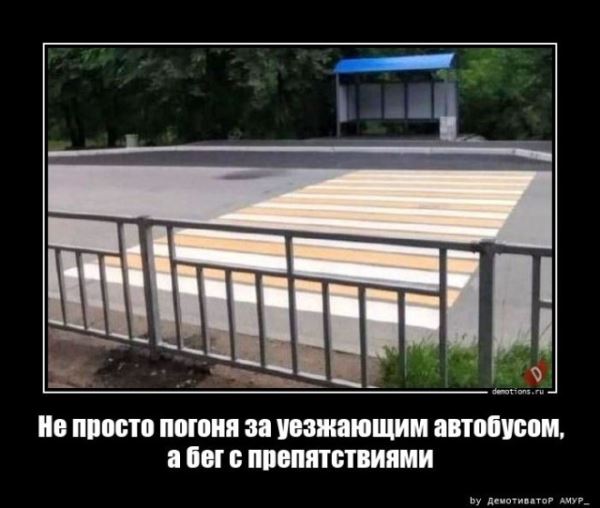 Демотиваторы – приколы: «Я думаю, что у тех, кто выходит на пробежку…» (14 фото)