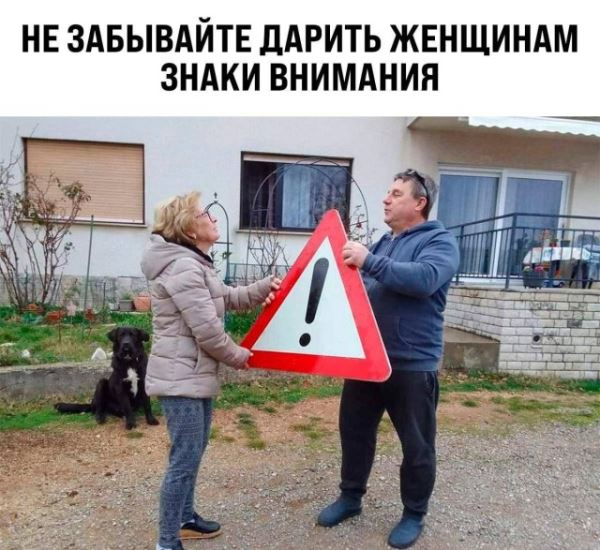 Весёлые картинки перед пятницей: «Внимание! Депрессия на дороге» (35 фото)
