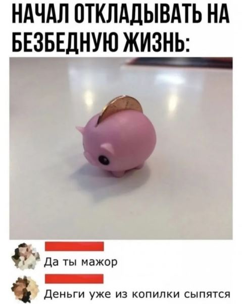 Пятничные фотоприколы: «Когда солнышко греет…» (38 шт)