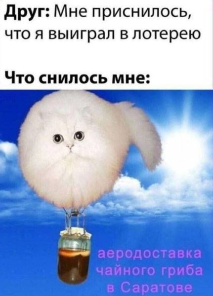 Фотоприколы для всех: «Даже шлёпанцы отдыхают на море…» (27 фото)