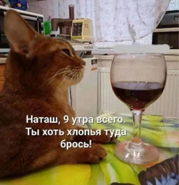 Прикольные картинки для всех: «Я каждый раз, когда…» (27 фото)