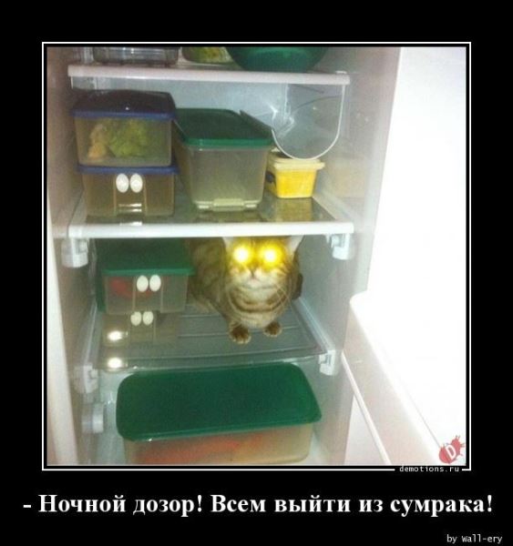 Прикольные демотиваторы на любой вкус: «Каждый решает сам» (15 шт)