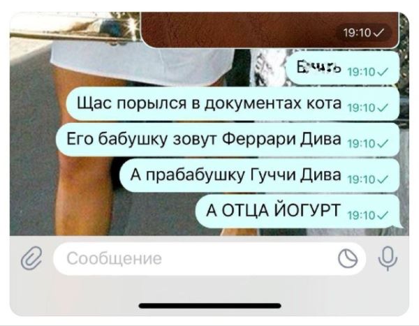 Пятничные фотоприколы: «Ну, и как ты развлекаешься?» (36 фото)