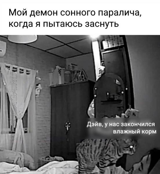 Прикольные картинки и мемы для любителей кошек (15 шт)