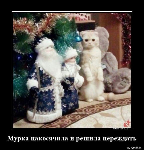 Смешные демотиваторы: «Минздрав в недоумении» (16 шт)