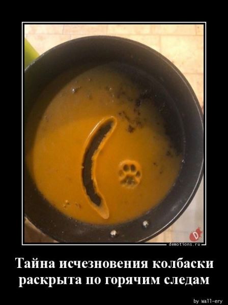 Свежий сборник прикольных демотиваторов: «С добрым утром!» (16 шт)