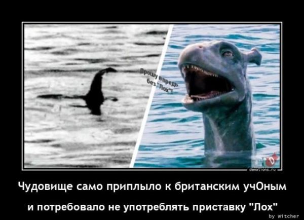 Демотиваторов пост: «Воспитание превыше всего!» (20 фото)
