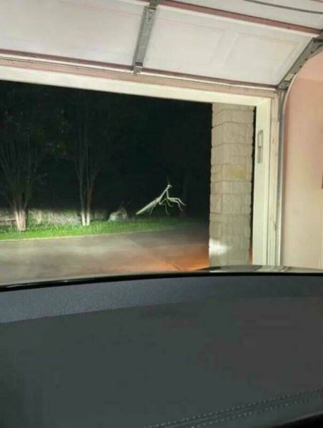 Ракурс решает всё (27 фото)
