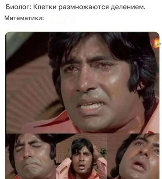 Пятничные фотоприколы: «Когда солнышко греет…» (38 шт)