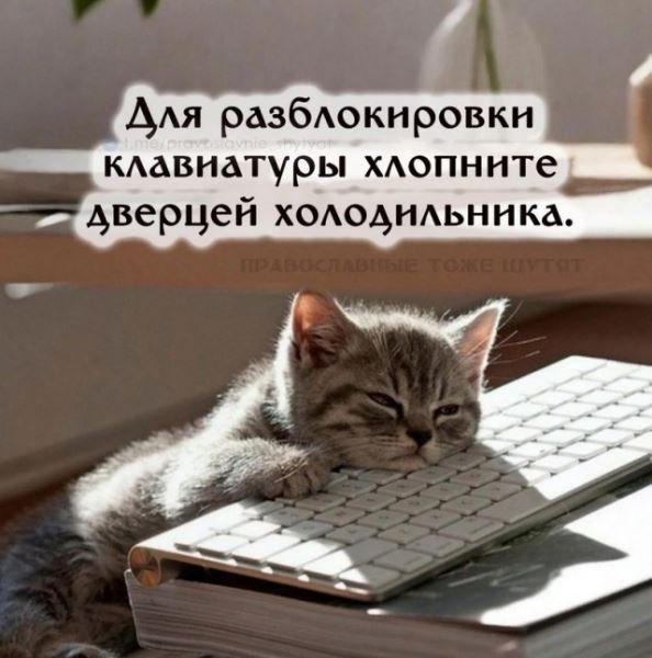 Прикольные картинки для всех и для каждого: «Для разблокировки клавиатуры…» (25 шт)