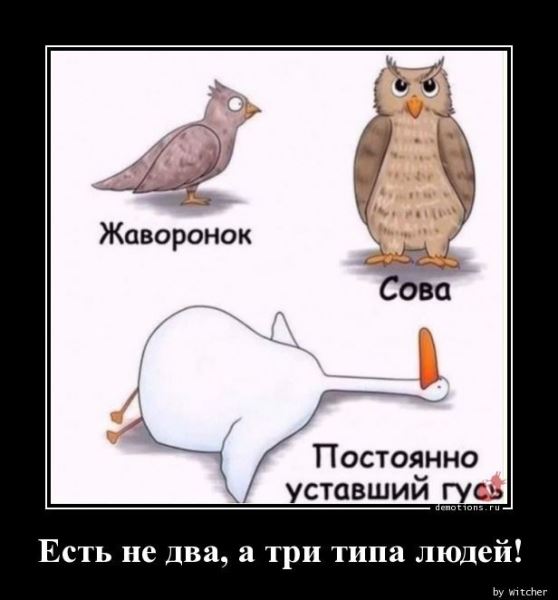 Демотиваторов пост: «Игрушками не играть» (16 шт)