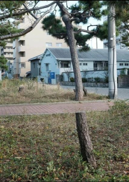 Пятничные фотоприколы: «Ну, и как ты развлекаешься?» (36 фото)