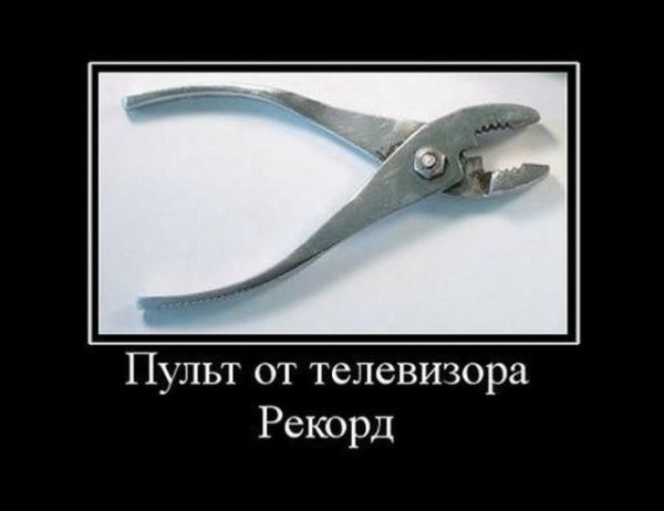 Прикольные демотиваторы на любой вкус: «Каждый решает сам» (15 шт)
