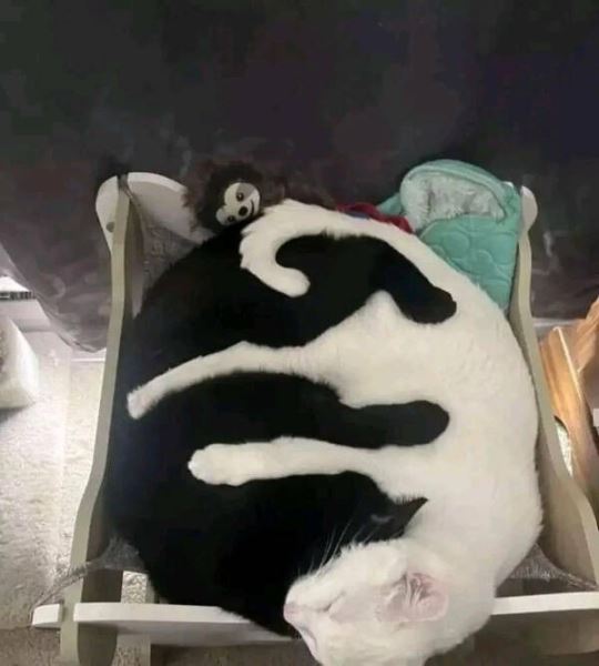 Фотографии, которые доставят вам визуальное удовольствие (24 шт)