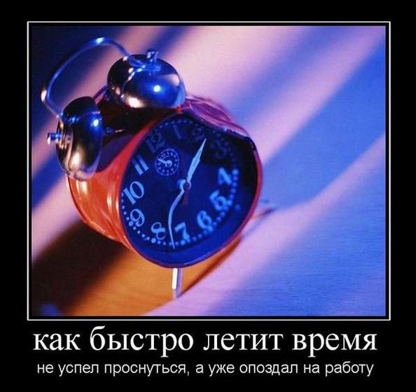 Прикольные демотиваторы на любой вкус: «Каждый решает сам» (15 шт)