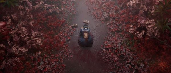Не квалифицирована: Silent Hill f отказали в выдаче возрастного рейтинга в Австралии