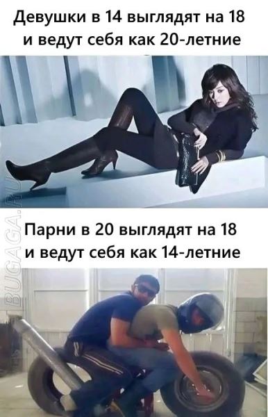 Весёлые картинки перед пятницей: «Внимание! Депрессия на дороге» (35 фото)