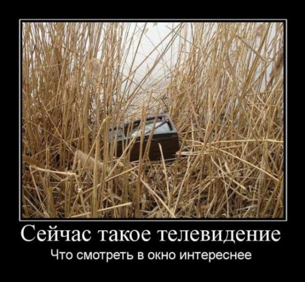 Демотиваторов пост: «Игрушками не играть» (16 шт)