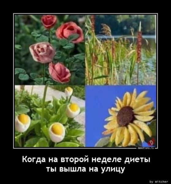 Демотиваторы – приколы: «Я думаю, что у тех, кто выходит на пробежку…» (14 фото)