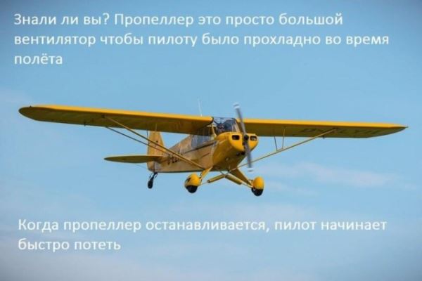 Прикольные картинки в понедельник: «Пора на дачу» (41 фото)