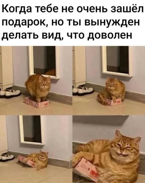 КотоМЕМЫ для хорошего настроения: «Слюни — это слёзы рта…» (22 шт)