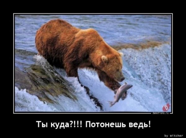 Свежий сборник прикольных демотиваторов: «С добрым утром!» (16 шт)