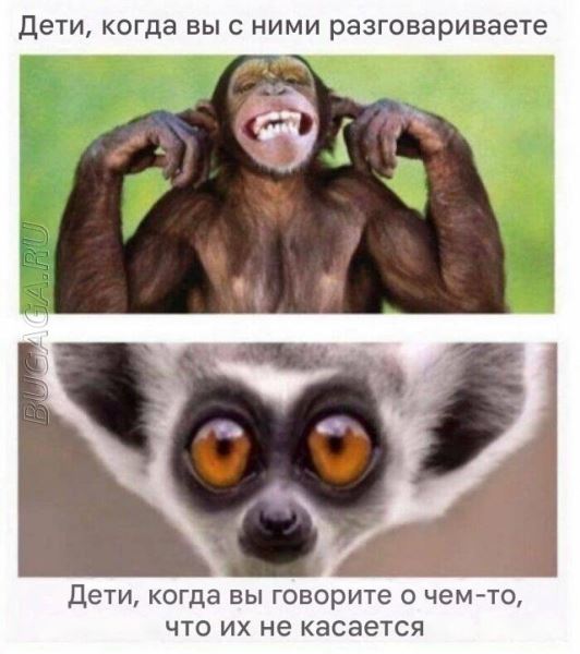Прикольные мемы для женщин (9 шт)