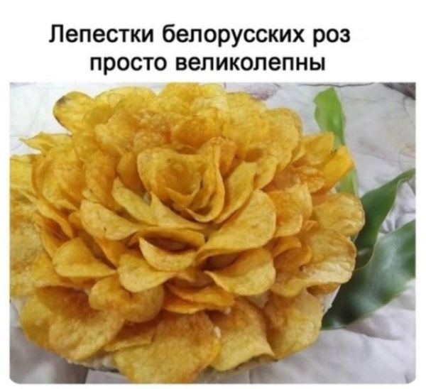 Прикольные картинки дня: «Когда тебе никто не верил…» (26 шт)
