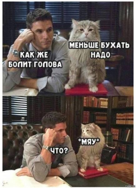 КотоМЕМЫ для хорошего настроения: «Слюни — это слёзы рта…» (22 шт)