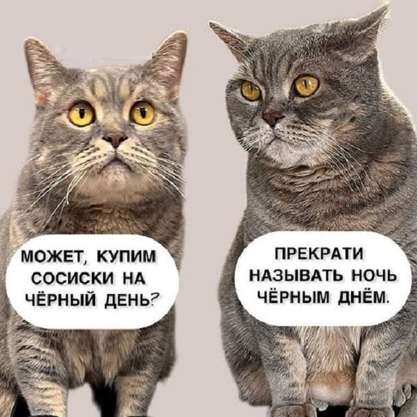 КотоМЕМЫ для хорошего настроения: «Слюни — это слёзы рта…» (22 шт)