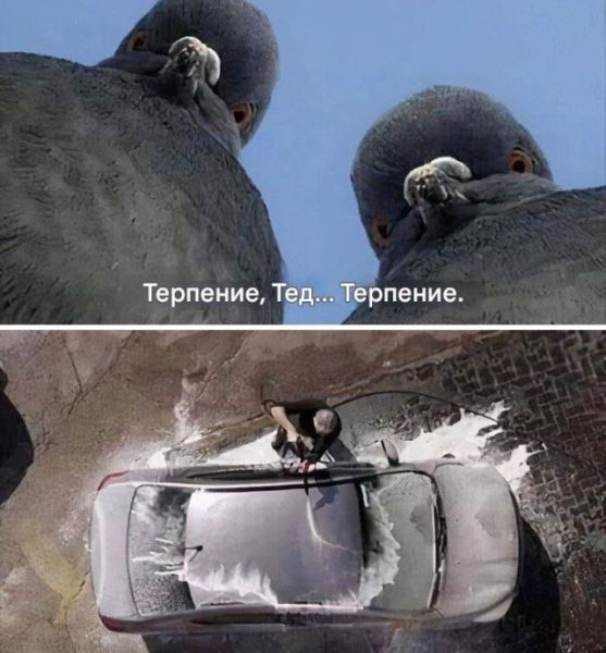 АВТОприкольные картинки (25 шт)