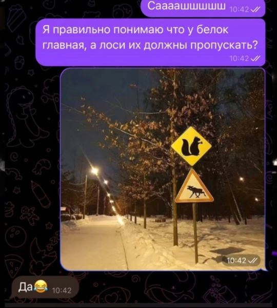 АВТОприкольные картинки (25 шт)