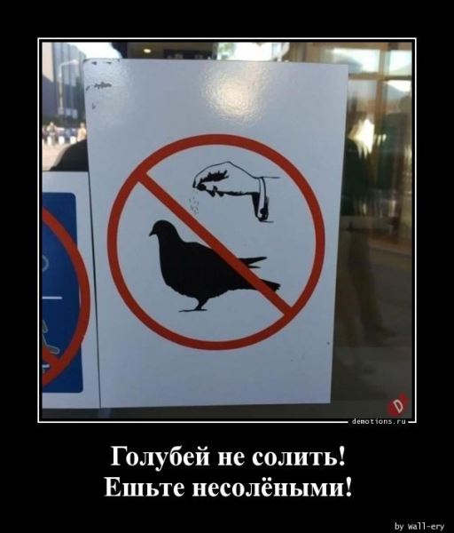 Демотиваторы в конце недели: «Фотография жены в бумажнике…» (18 шт)
