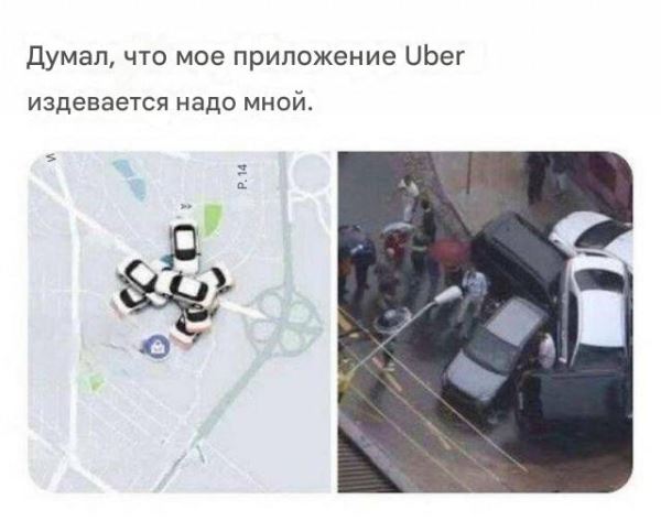 Когда права купили, а умение водить — нет (13 фото)