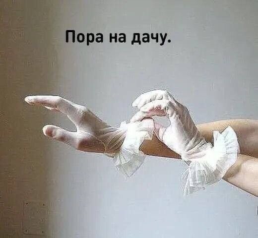 Прикольные картинки в понедельник: «Пора на дачу» (41 фото)