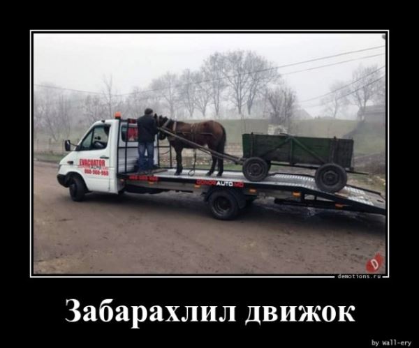 Демотиваторы в конце недели: «Фотография жены в бумажнике…» (18 шт)